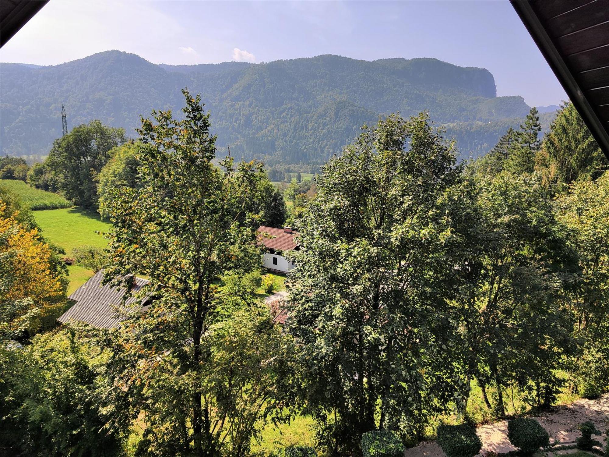 Tourist House Capricorn Apartman Bled Kültér fotó